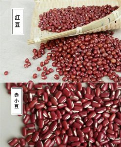 ​红豆和赤小豆的区别