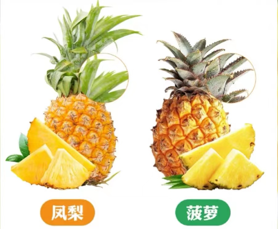 微信图片_20230531131530.jpg