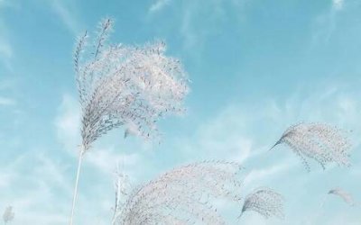 ​中秋节给客户祝福语简短（节日给客户的问候语）