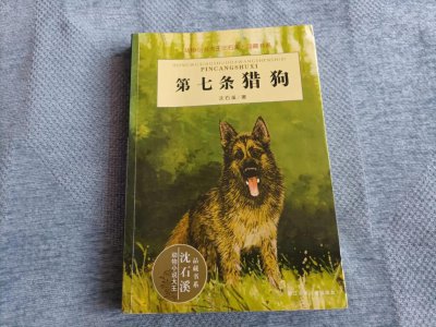 ​沈石溪第七条猎狗_动物小说创作的道路