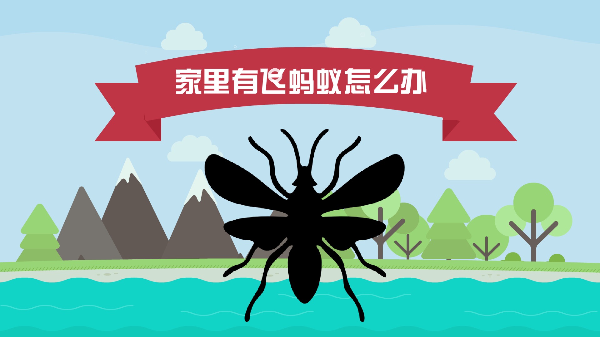 飞蚁怎么出现在家里呢,家里出现飞蚁怎么消灭