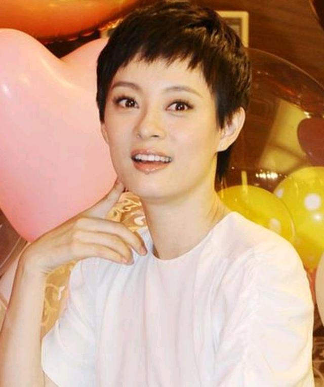 孙俪个人资料,女演员孙俪是哪里人