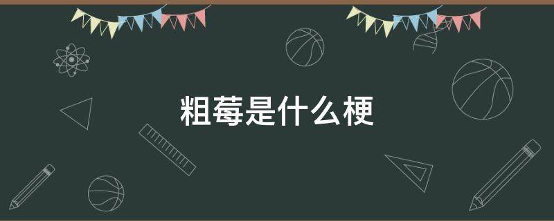 粗莓是什么梗,粗莓是什么意思