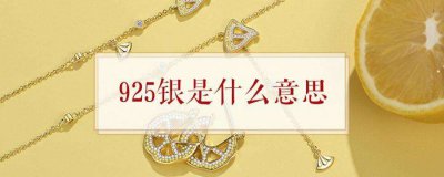 ​银925什么意思（银925代表什么）