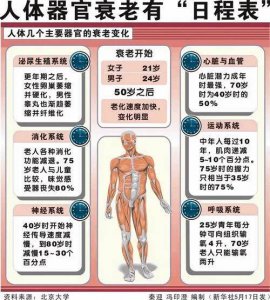 ​人体衰老退化时间表（人体各个器官衰老时间表）