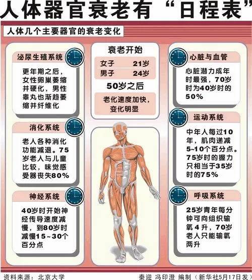 人体器官衰老退化时间表 人体器官衰老退化时间表