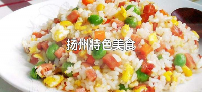 ​扬州特色美食（扬州地方特色美食小吃有哪些）
