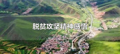 ​脱贫攻坚精神感悟（对脱贫攻坚的认识和体会）