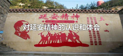​对延安精神的认识和体会（延安精神的认识和感受）