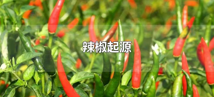 辣椒起源 辣椒起源