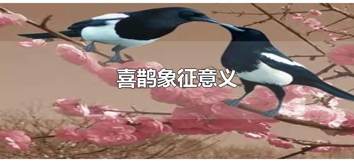 喜鹊象征意义 喜鹊象征意义