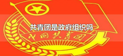 ​共青团是政府组织吗（共青团属于政府组织吗）