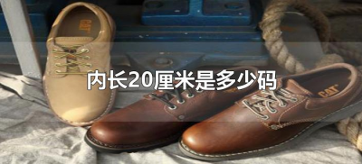 ​内长20厘米是多少码（20厘米的内长是多少码）