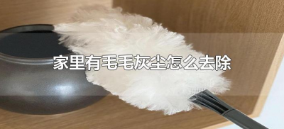​家里有毛毛灰尘怎么去除（家里毛毛灰尘怎么清理）