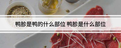 ​鸭胗是鸭的什么器官（鸭胗是鸭的哪个部位）
