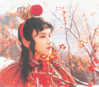 87版红楼梦再聚首（87版红楼梦剧组时隔30年再次重聚）(7)