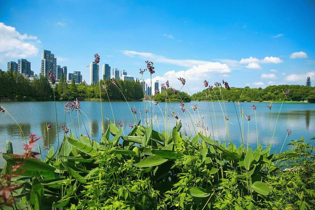 武昌是哪个省的城市_武昌城市简介