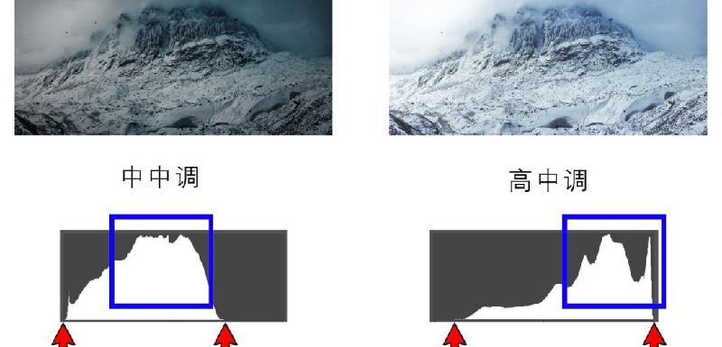 什么是摄影作品的影调（摄影影调分为哪几种）(图20)