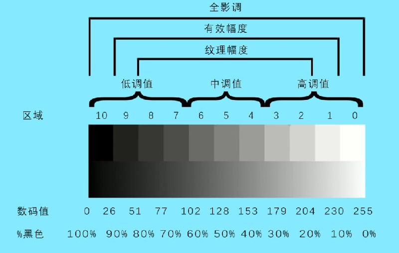 什么是摄影作品的影调（摄影影调分为哪几种）(图3)