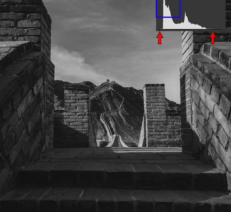 什么是摄影作品的影调（摄影影调分为哪几种）(图9)