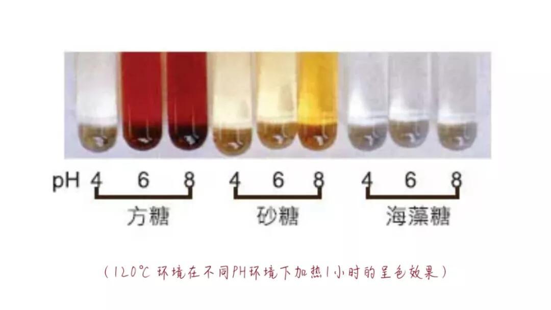 海藻糖是什么(全面解析海藻糖)