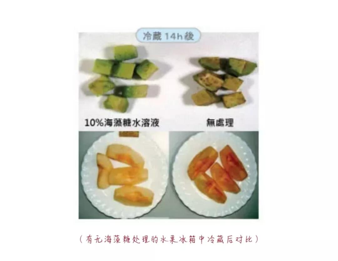 海藻糖是什么(全面解析海藻糖)