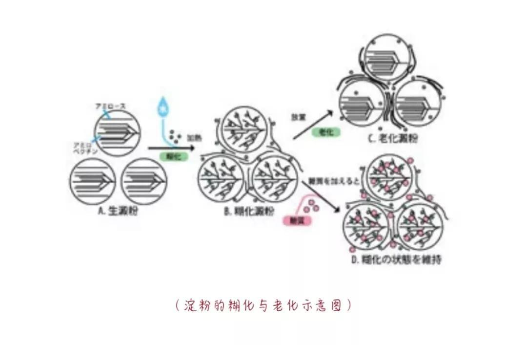 海藻糖是什么(全面解析海藻糖)