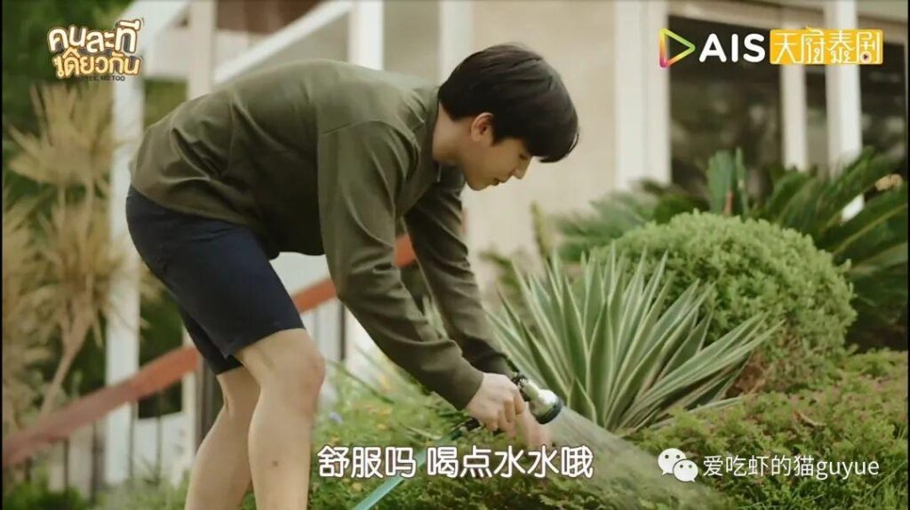 普法栏目剧无可替代是真实的吗_泰剧无法替代在哪里可以看