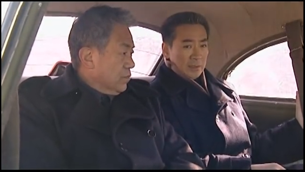 十部顶尖国产谍战剧(十部顶级谍战剧)(图6)