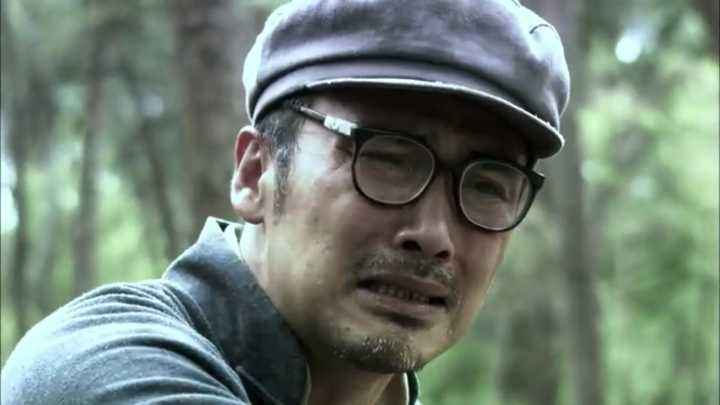 十部顶尖国产谍战剧(十部顶级谍战剧)(图12)