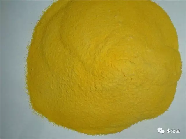 蓝藻如何处理 _暴发成因