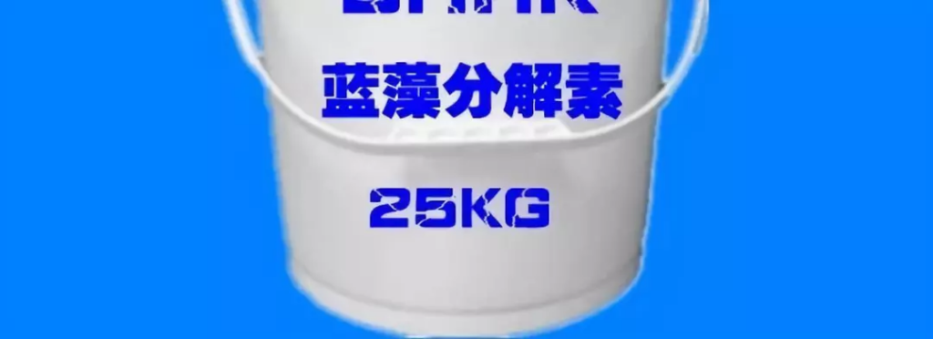 蓝藻如何处理 _暴发成因