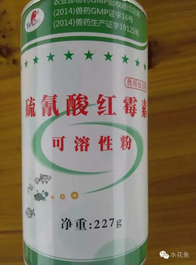 蓝藻如何处理 _暴发成因