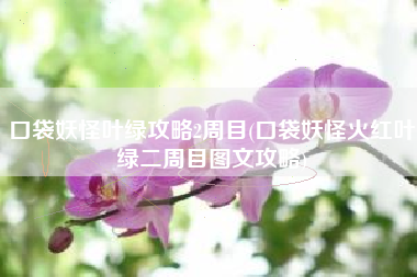 口袋妖怪叶绿攻略2周目(口袋妖怪火红叶绿二周目图文攻略)