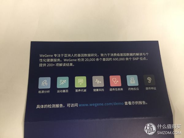 wegene准吗_wegene众测使用教程