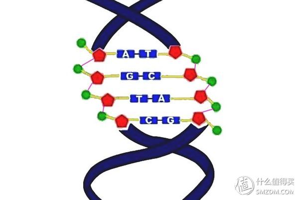 wegene准吗_wegene众测使用教程