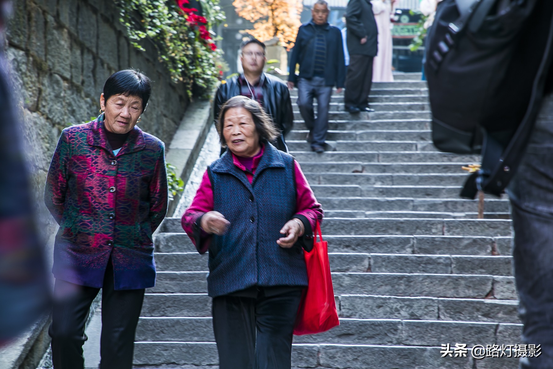 中国最适合养老宜居的城市前10名出炉（全国最宜居的城市前十位）(图3)