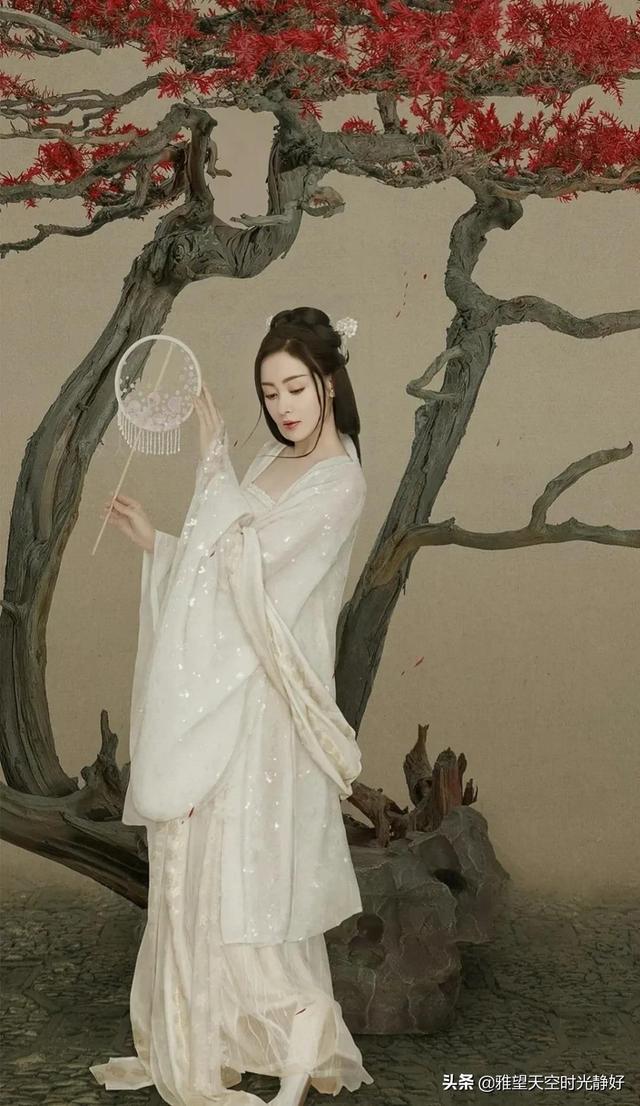 国风古装汉服秀(女明星汉服造型大赏)(64)