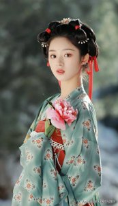 ​国风古装汉服秀（女明星汉服造型大赏）