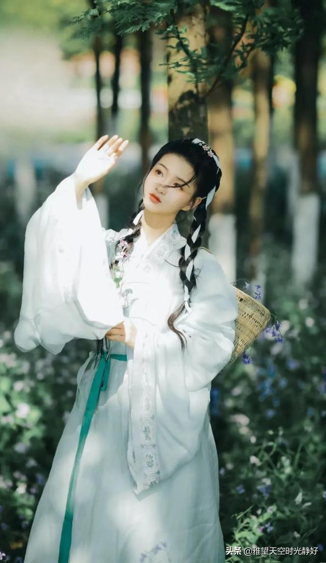 国风古装汉服秀(女明星汉服造型大赏)(39)