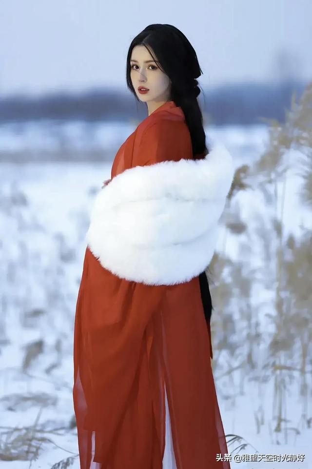 国风古装汉服秀(女明星汉服造型大赏)(19)
