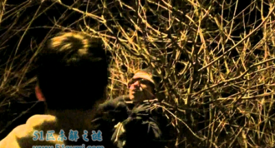 ​世界十大最奇异的树 传闻中的食人树奠柏果然存留?
