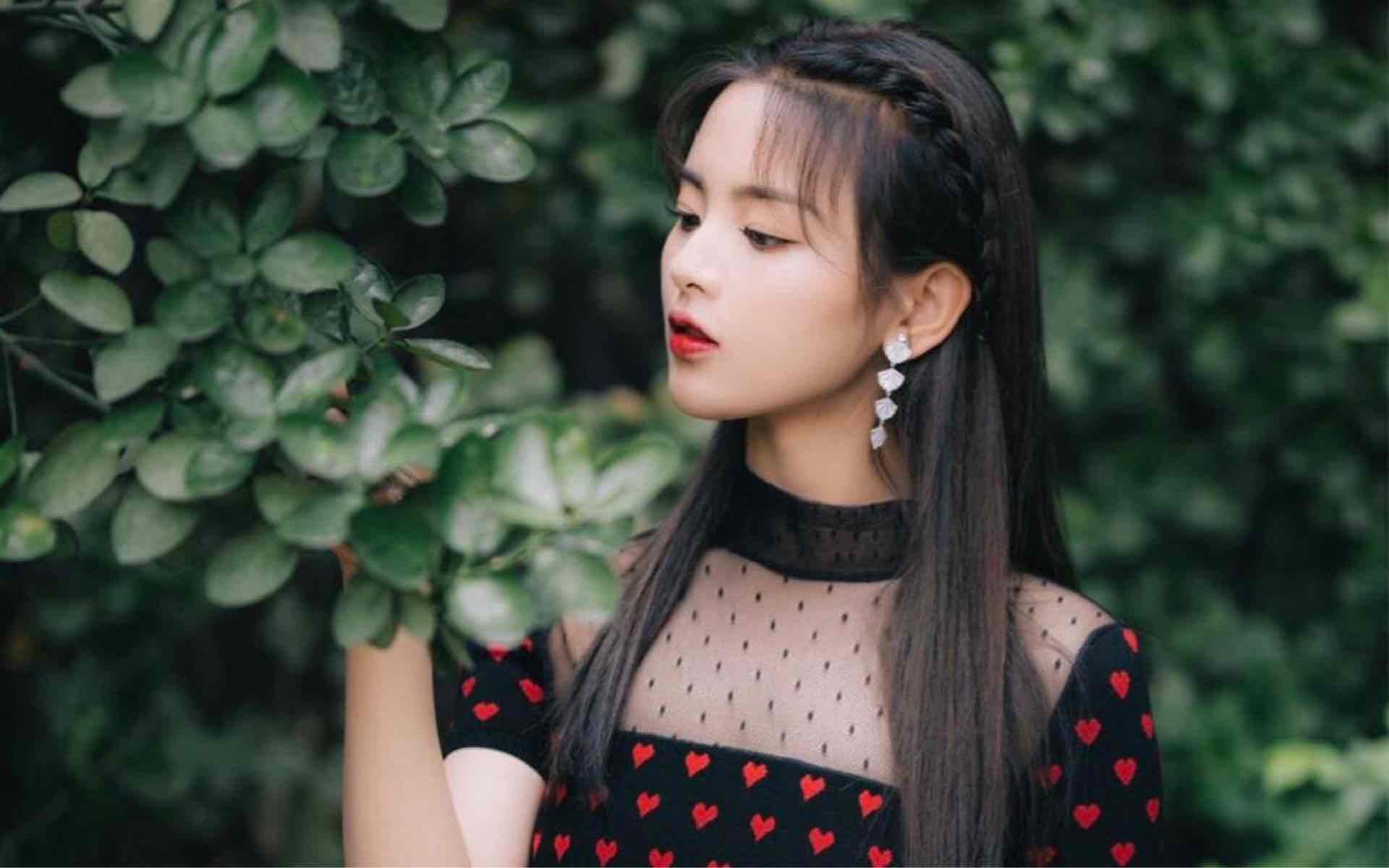 网络图片(侵删)