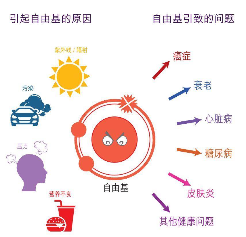 人类为啥会衰老（人为什么会老而不能长生不老）(图11)