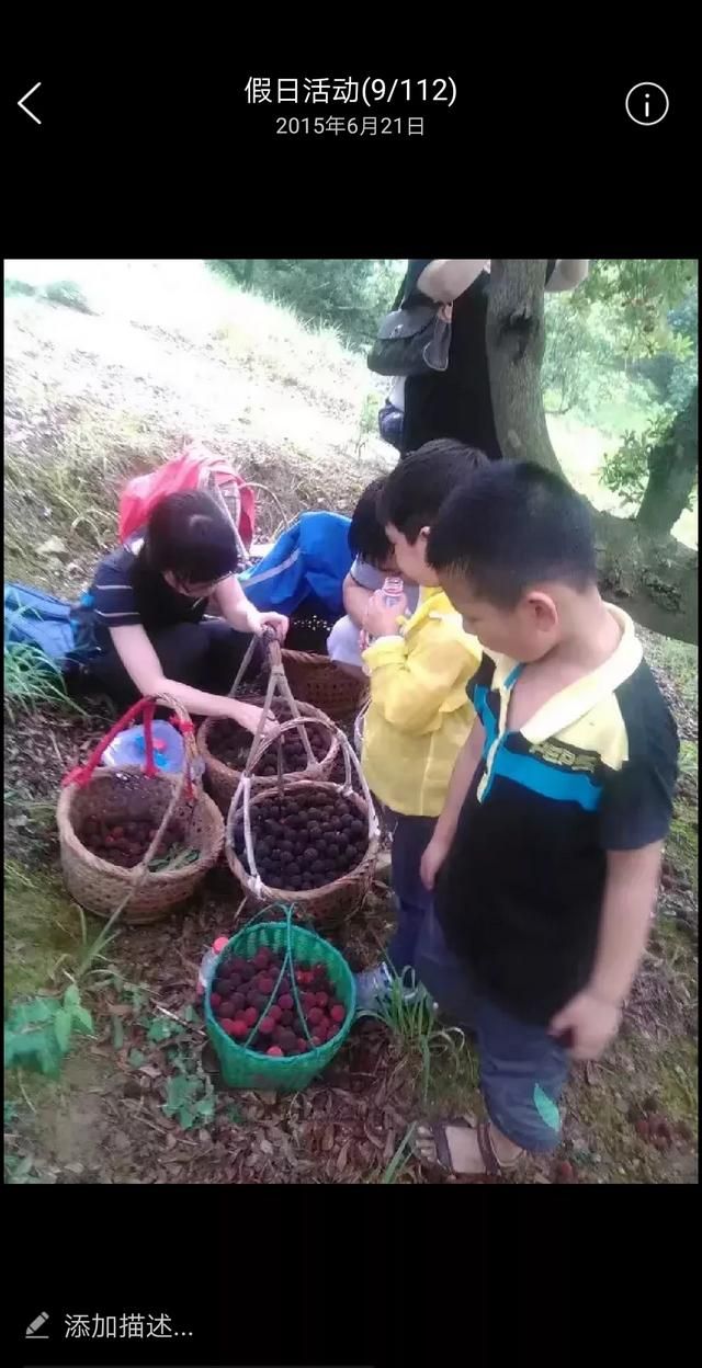 新鲜杨梅可以直接吃吗，超市买的杨梅可以直接吃吗？图5