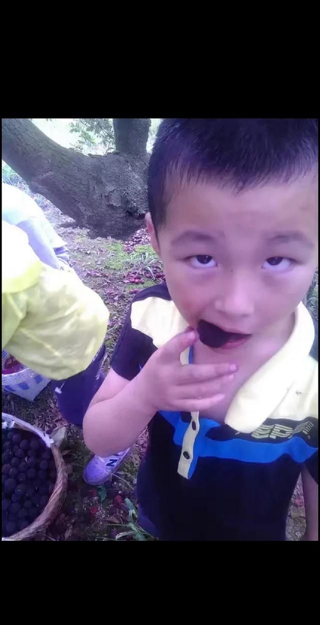 新鲜杨梅可以直接吃吗，超市买的杨梅可以直接吃吗？图4