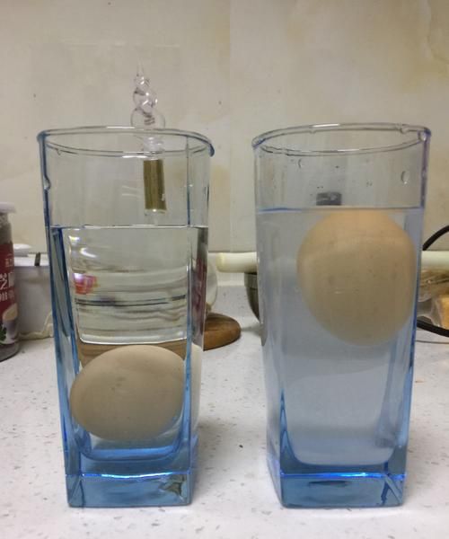水里放盐鸡蛋浮起来的原理写作文