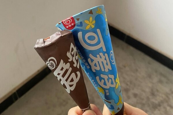 国内最好吃的雪糕十大排名最新，商店10款热销雪糕牌子排行榜
