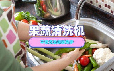​果蔬清洗机有用么（果蔬清洗机真的有用吗）