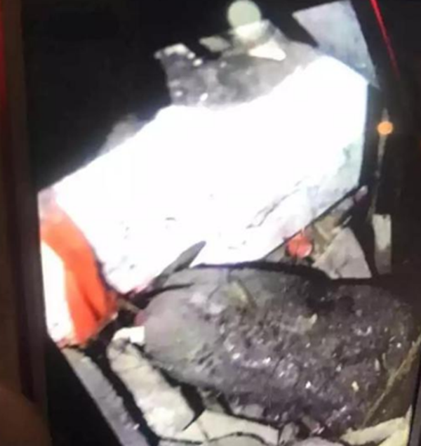 嵊州为什么忽然如许火,嵊州天降不明物体是什么?